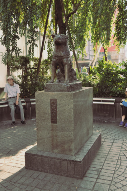 Hachiko in Shibuya