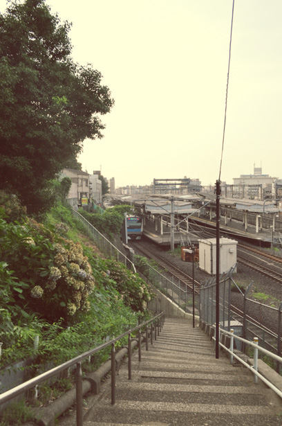 Nippori Station view from Suwa Shrine