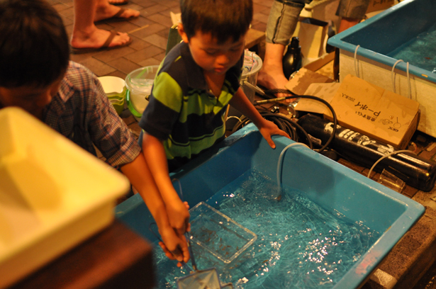 Goldfish Scooping at Azabu-Juban summer night festival