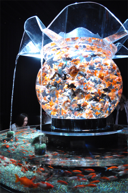 Art Aquarium in Nihonbashi