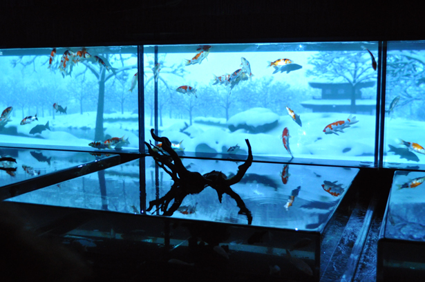 Art Aquarium in Nihonbashi