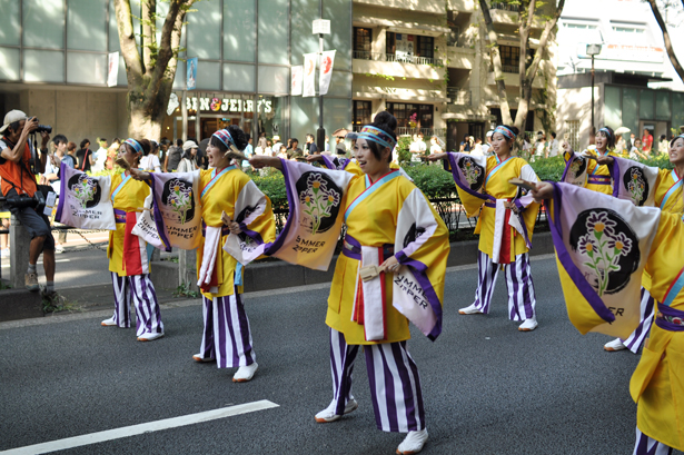 Yosakoi Harajuku Omotesando